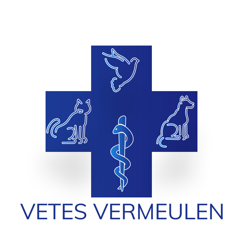 Logo du cabinet vétérinaire Vermeulen